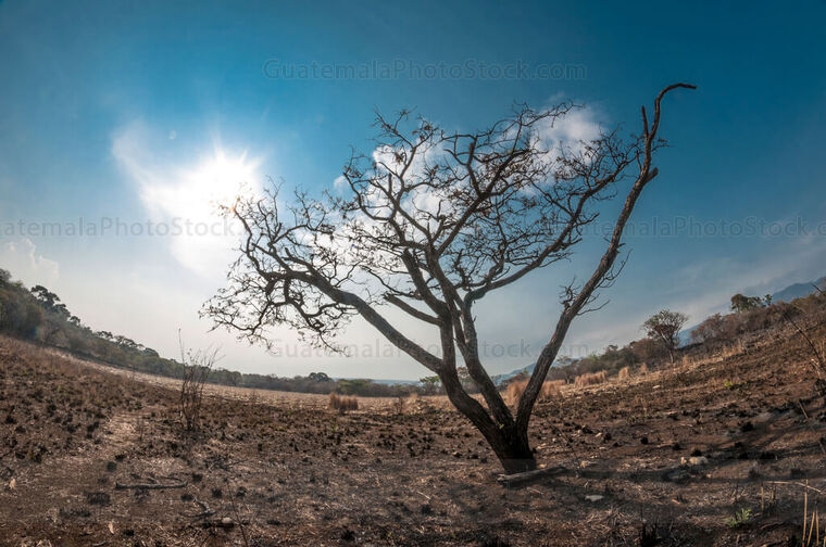 Tierras agrícolas secas bajo el sol