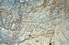 Detalle de estela maya en el Parque Nacional Tikal