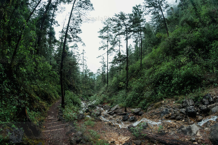 Sendero Ecológico La Maceta, Huehuetenango