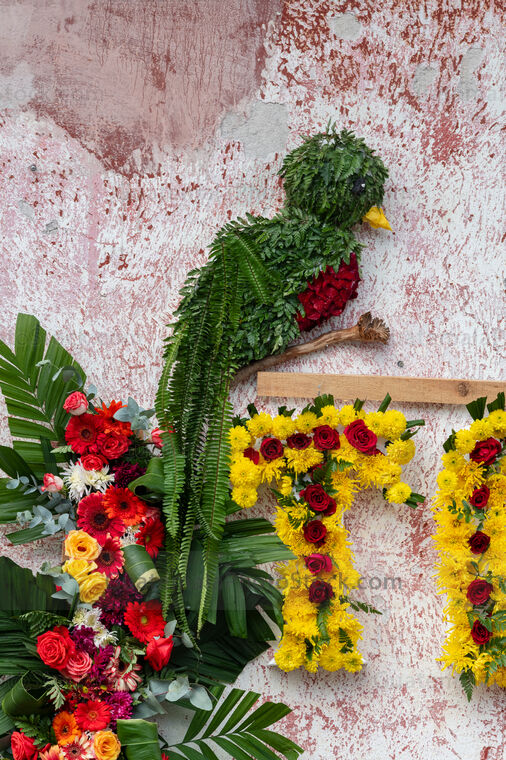 Quetzal en el Festival de las Flores 2023.