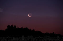 Luna al amanecer