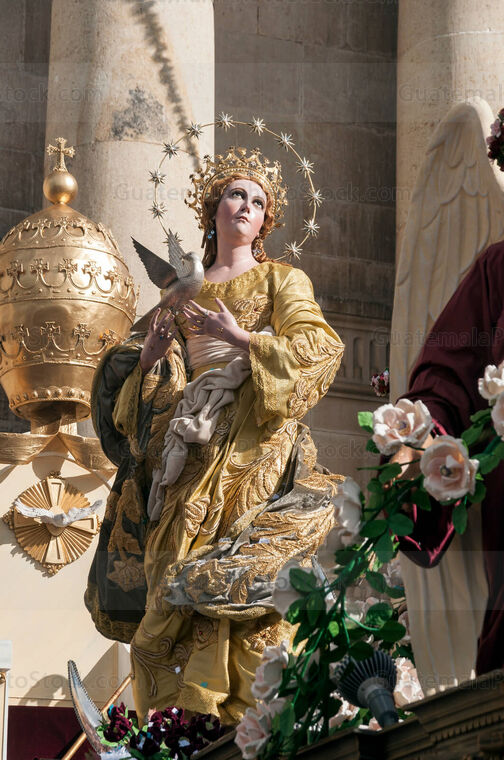 Consagrada Imagen de la Inmaculada Concepción