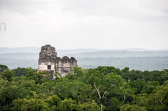 Crestas del Templo I y Templo II de Tikal