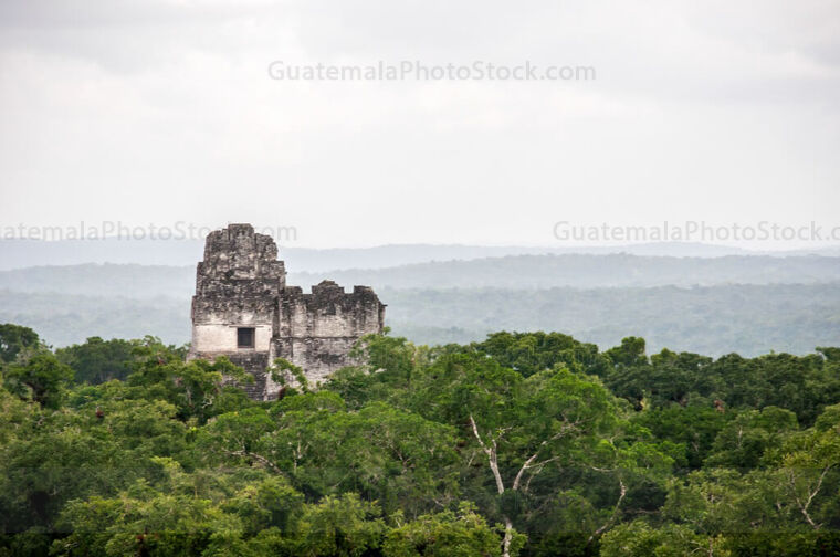 Crestas del Templo I y Templo II de Tikal
