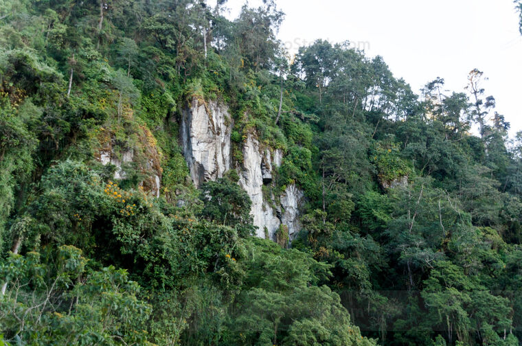 Cueva Campana Abaj
