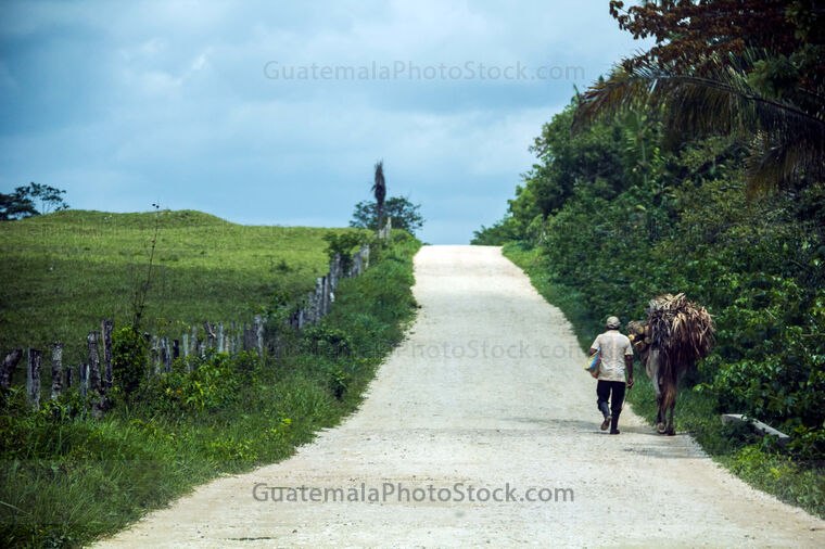 Hombre caminando en carretera rural