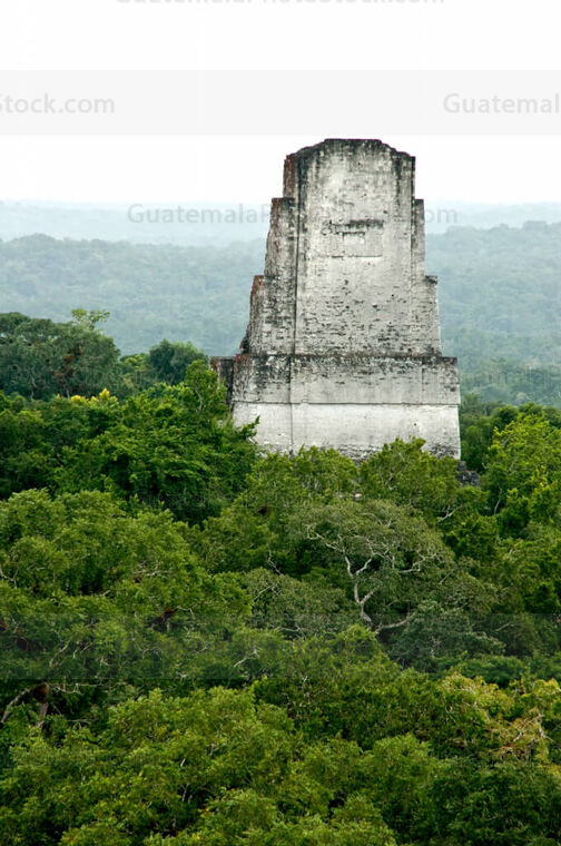 Cresta Templo III Parque Nacional Tikal
