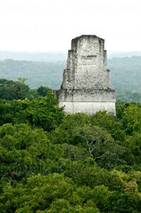 Cresta Templo III Parque Nacional Tikal