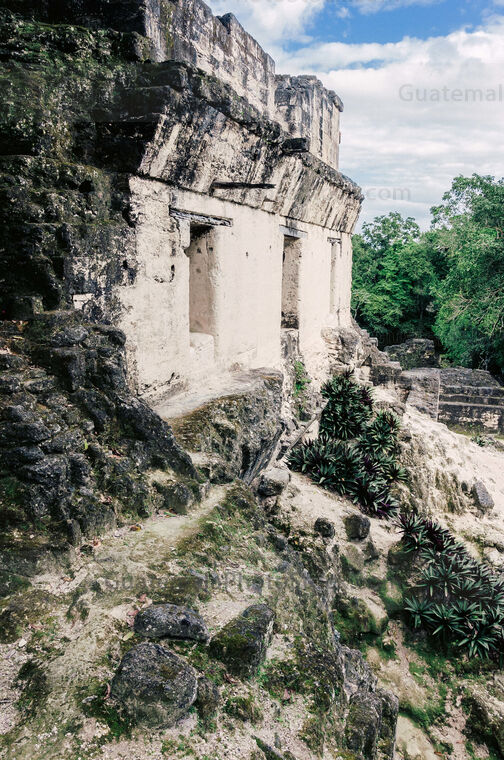 Acropolis Central, Tikal
