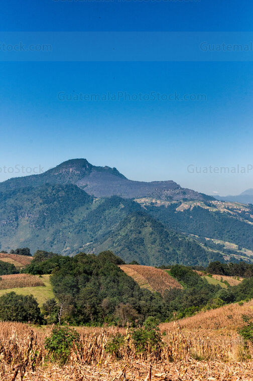Volcán Cerro Quemado