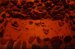 Osamentas del sistema funerario del Templo de Quetzalcoat