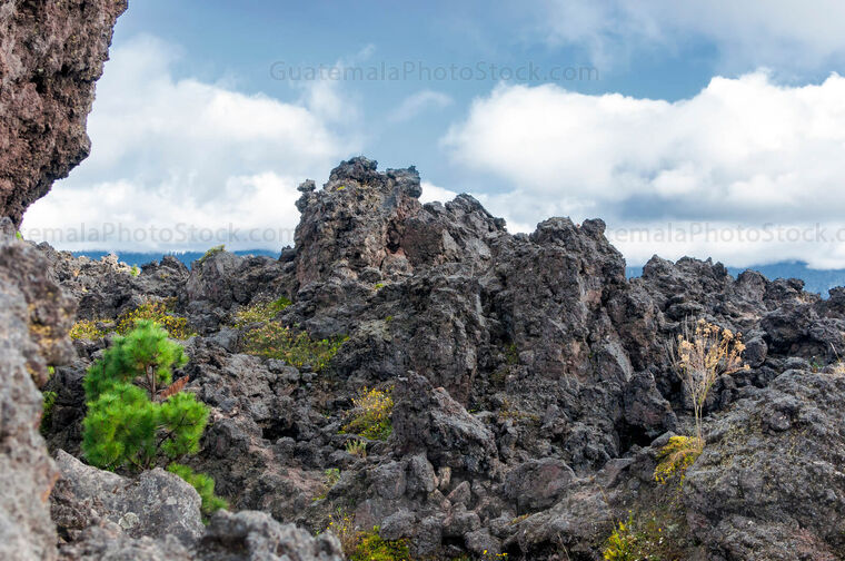 Cima del Volcán Cerro Quemado