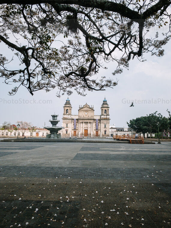 Catedral Metropolitana de Santiago de Guatemala