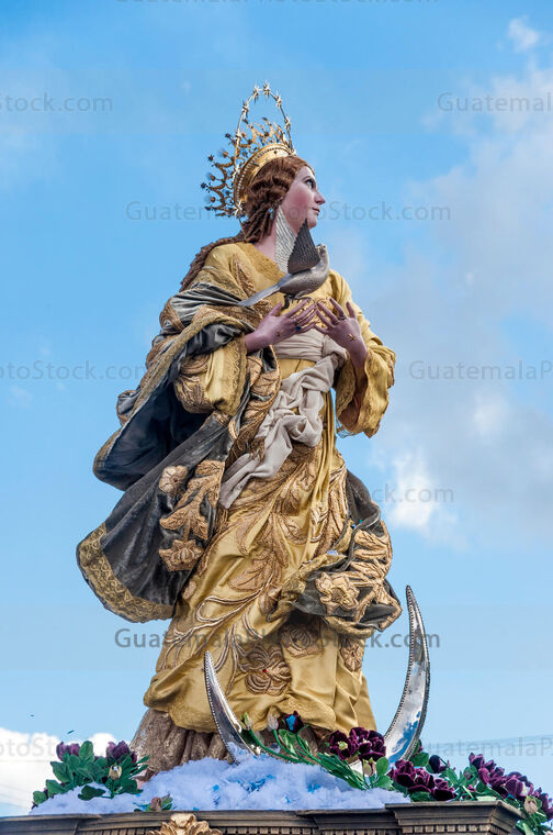 Consagrada Imagen de la Inmaculada Concepción