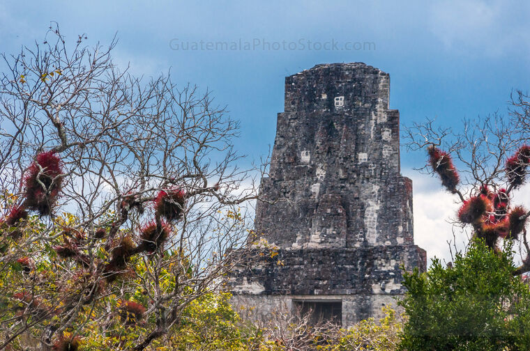 Cresteria Templo III, Tikal