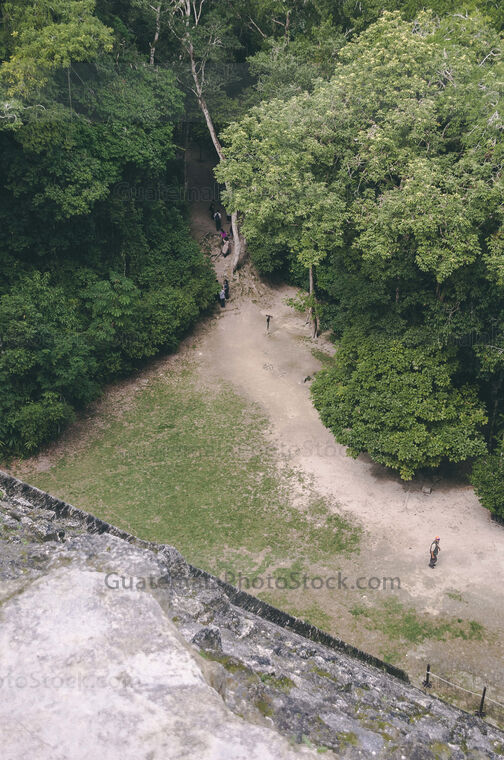 Sendero del Parque Nacional de Tikal