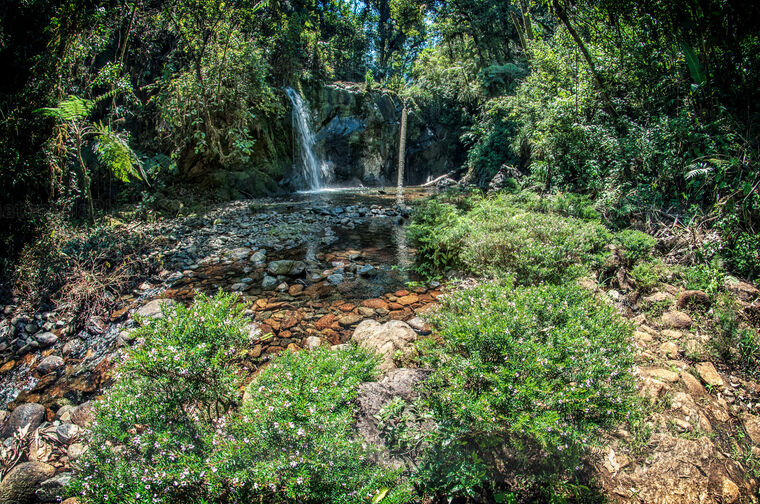 Cascadas dentro de la Reserva Natural Privada Ram Tzul