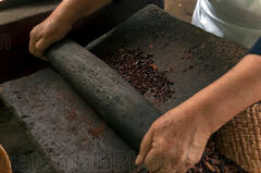 Moliendo granos de cacao