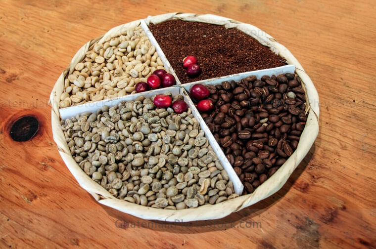 Granos de cafe en diferentes etápas