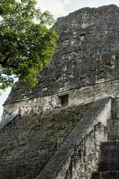 Cresteria del Templo V Parque Nacional Tikal