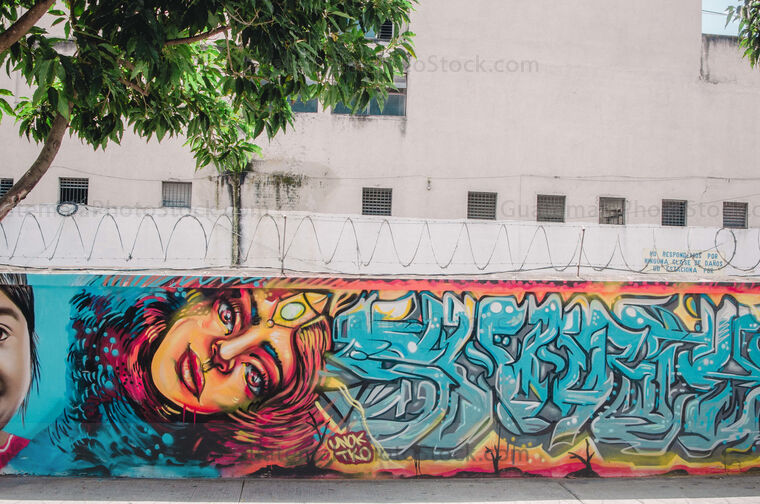 Graffitis de la quinta avenida