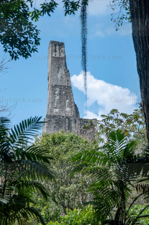 Cresteria del Templo III de Tikal
