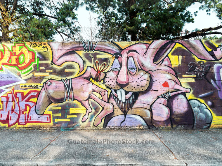 Graffiti en la Avenida Simeón Cañas
