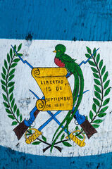 Escudo nacional pintado en una ceiba