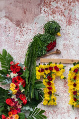 Quetzal en el Festival de las Flores 2023.