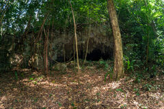 Selva tropical e ingreso a cueva