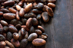 Semillas tostadas de cacao
