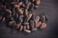 Granos de Cacao