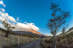 Camino al Volcán de Pacaya