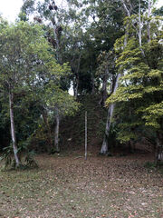 Naturaleza en Parque Nacional Tikal, Petén