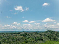 Paisaje con los templos de Tikal