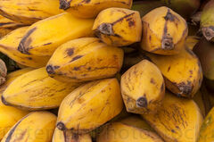 Bananos Majunches