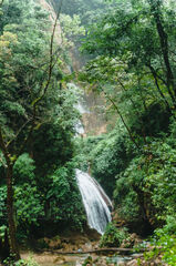 Bosque Nuboso Tropical Huehuetenango
