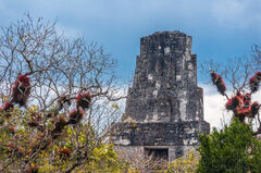 Cresteria Templo III, Tikal