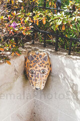 Mascara de jaguar