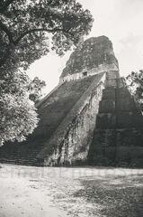 Templo IV