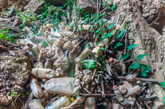 Contaminación por plasticos