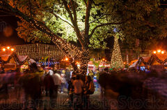 Festival navideño 2013 en el Parque Central